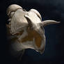 Medusaceratops lokii