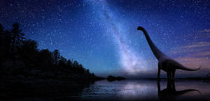 Sauropod and stars