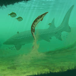 Giant sturgeon and Plioplatecarpus