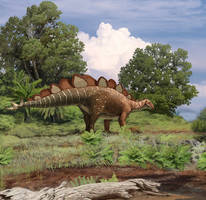 Stegosaur from Shestakovo