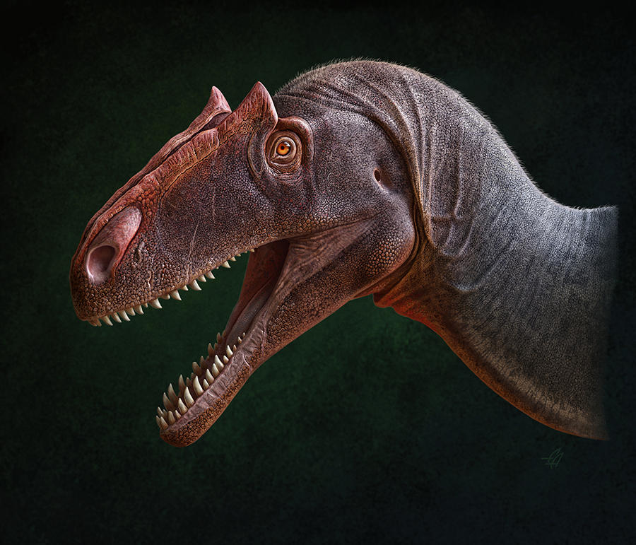 Allosaurus Jimmadseni By Olorotitan On DeviantArt allosaurus-jimmadseni-by-olorotitan-on-deviantart