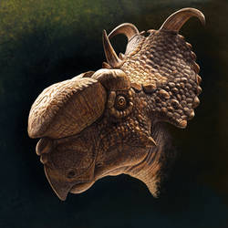 Pachyrhinosaurus lakustai