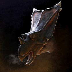Chasmosaurus belli