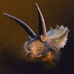 Coahuilaceratops