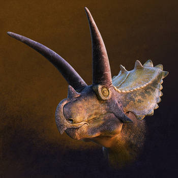 Coahuilaceratops
