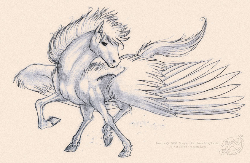 The Flying Horse — Squid Ink Art | Prints, Greeting Cards, Growth Charts  and Stationery Products