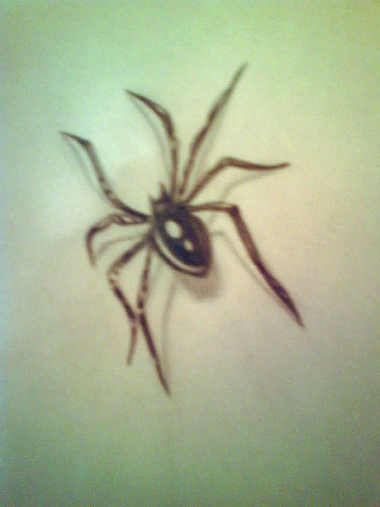 Spider Insect Deviantart Spider by Duvessa85 on DeviantArt