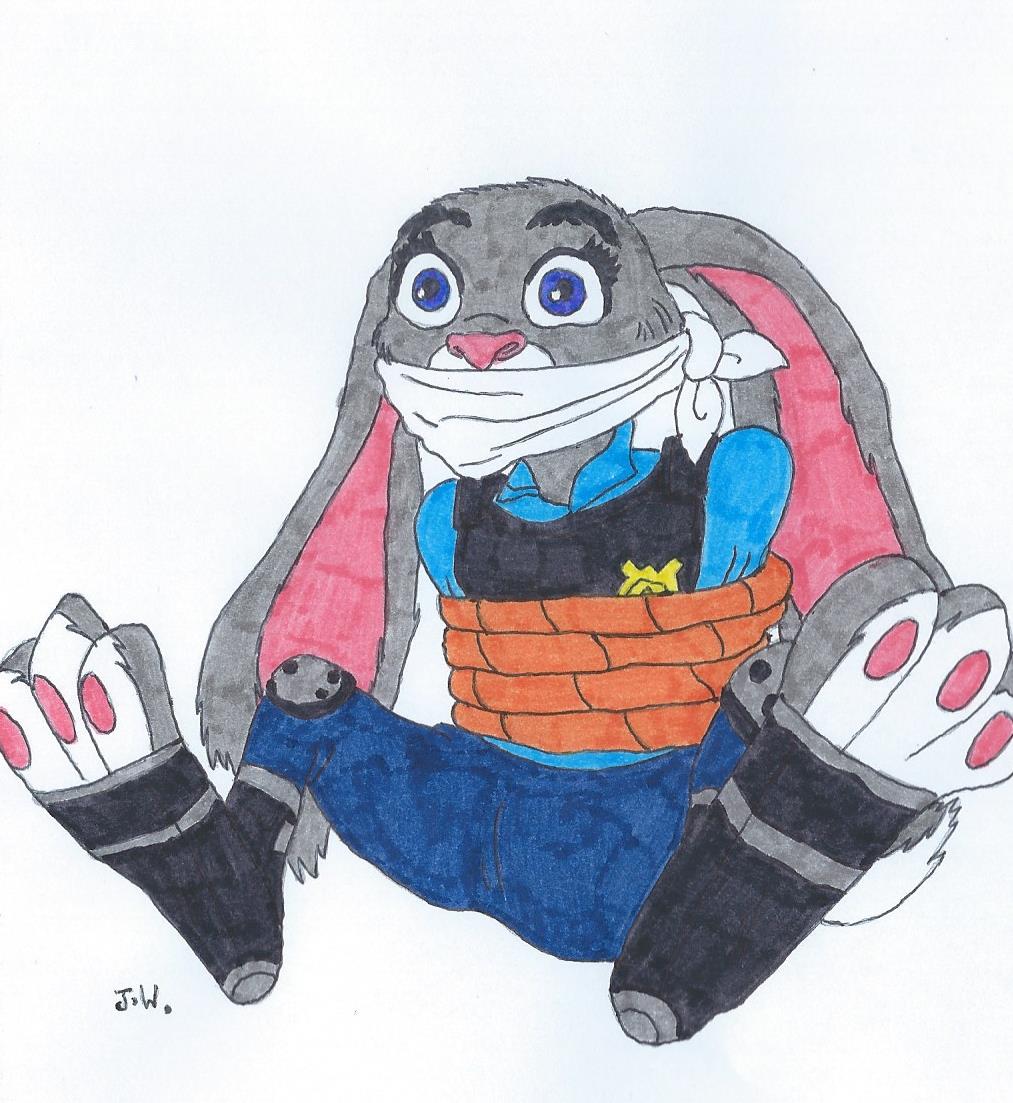 Judy Hopps - Do a Barrel Roll by ResidentEvilffs on DeviantArt