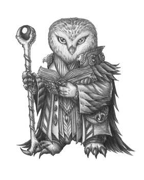 [COMMISSION] Akashda Inktalon - Owlin Wizard