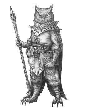 Hoo Brightseeker - Owlin Wizard