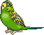 Broccoli pixel