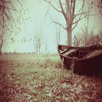 Black Sails in the Woods by Vrohi