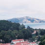 The Bay