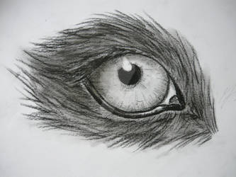 Grayscale eye