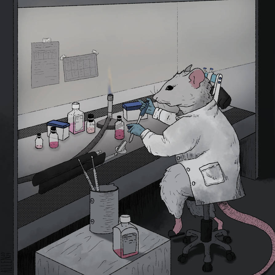 Lab Rat Deviantart lab rat by allenchallice on DeviantArt