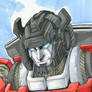 sideswipe