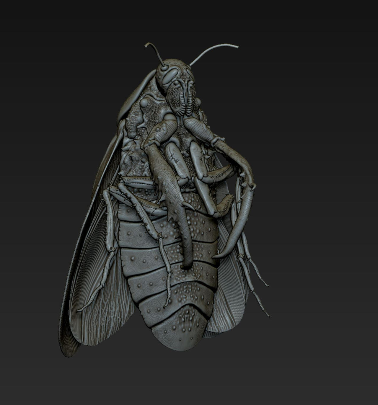 Radroach3d Characters Roach3 by BigRedMoth on DeviantArt
