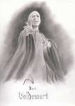 Lord Voldemort by CedricSallam92
