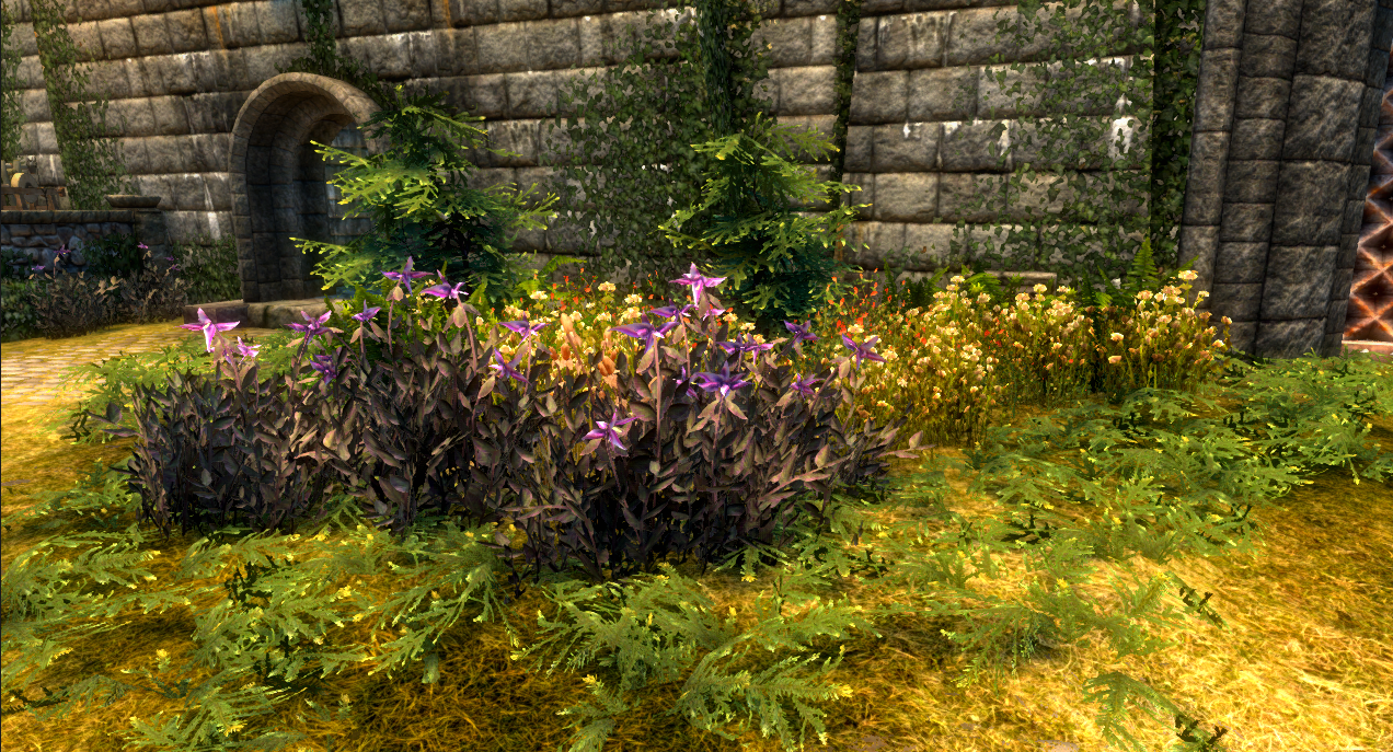 Skyrim Se Patch Of Flowers In Solitude