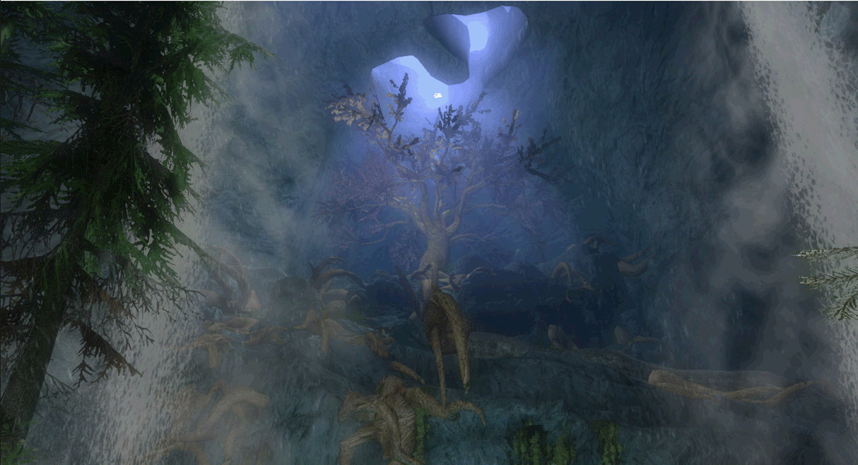 Wise mystical tree found in Eldergleam sanctuary : r/SkyrimMemes