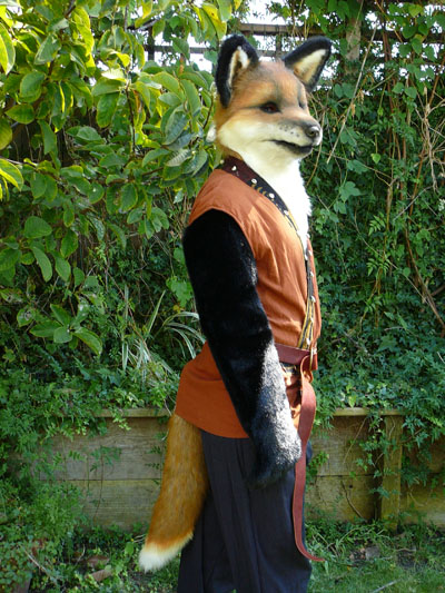 Mike's Fox