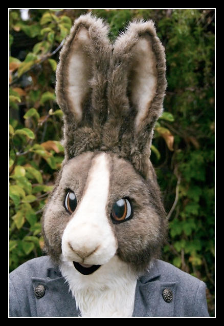 Deviantart Rabbit Mask Rabbit by BlueHyena on DeviantArt