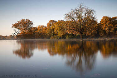 Southampton Common