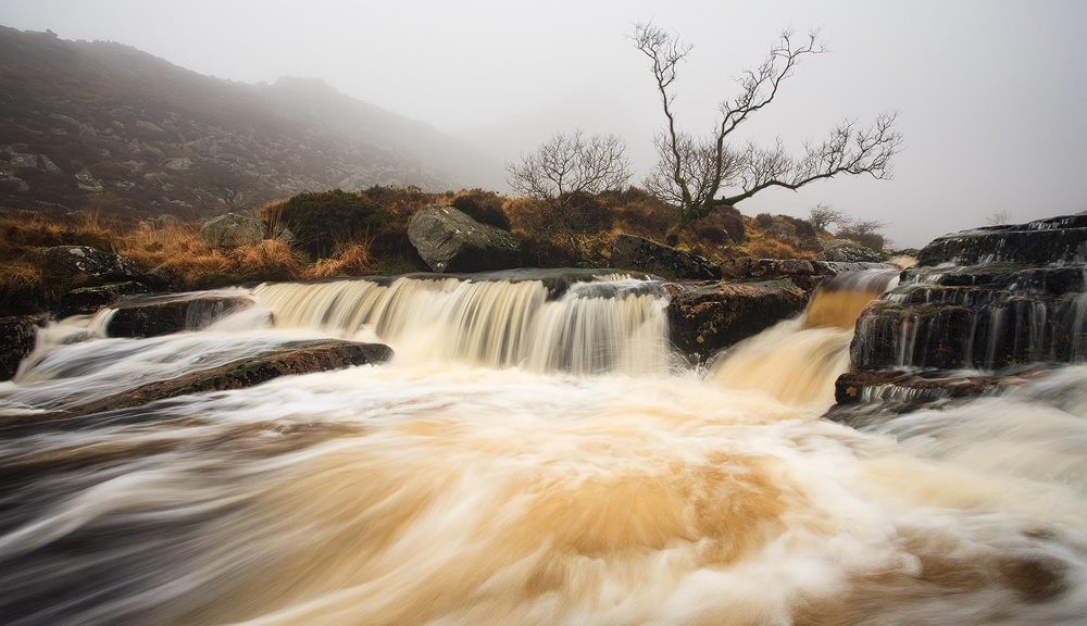 River Tavy