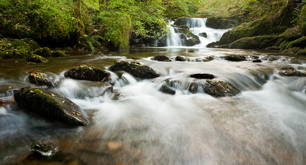 Cascades