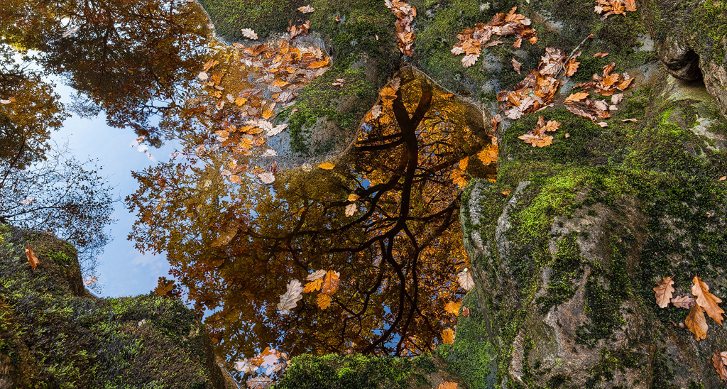 Autumn Reflected