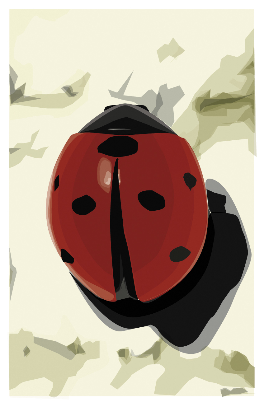 Ladybug