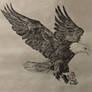 American Eagle