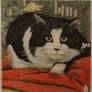 Portrait of a Cat