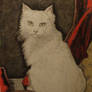 White Cat Portrait