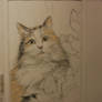 Cat Looking out of a Window (work in progress)