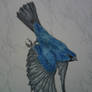 Blue Bird Painting (work in progress stage 3)