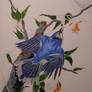 Blue Jay Acrylic Painting (work in progress)