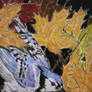 Blue Jay