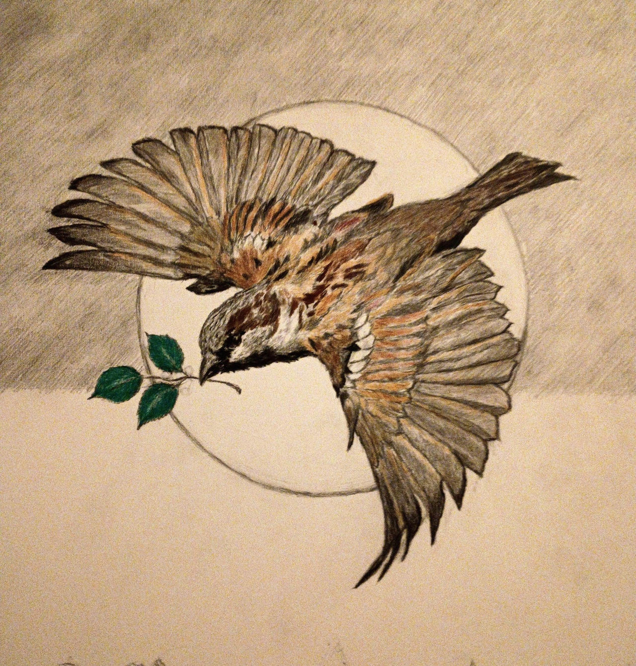 Sparrow in Flight (work in progress)