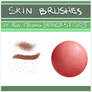 5 Skin Brush for Manga Studio 5/CLIP Studio Paint