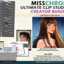 Ultimate Clip Studio Paint Bundle