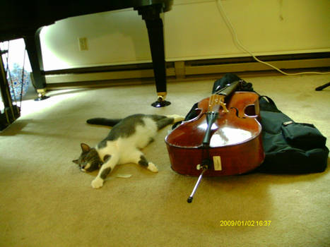 Kitty and Cello