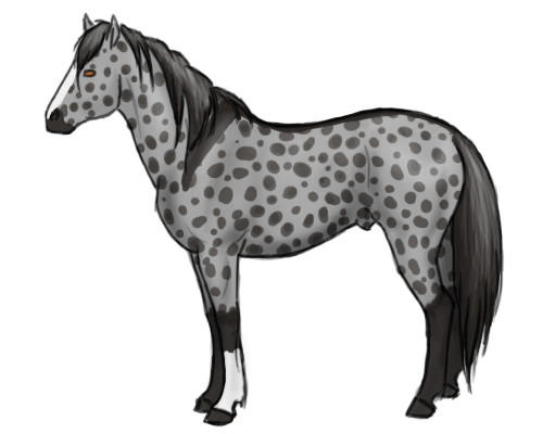 FerralMustang Adoptable3