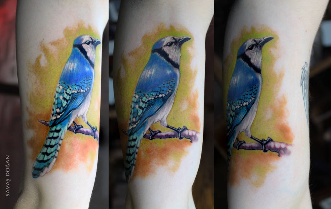 Blue Jay Bird Tattoo By Moviemetal3 On Deviantart Blue Jay Bird Tattoo By Moviemetal3 On Deviantart