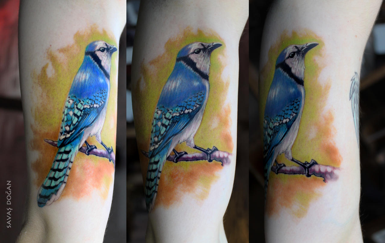 Blue Jay Bird Tattoo By Moviemetal3 On Deviantart Blue Jay Bird Tattoo By Moviemetal3 On Deviantart
