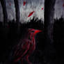 Bloody Crow