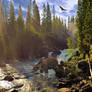 Nature's Radiance