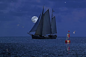 Light of the Moon