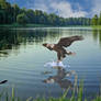 We Are Free