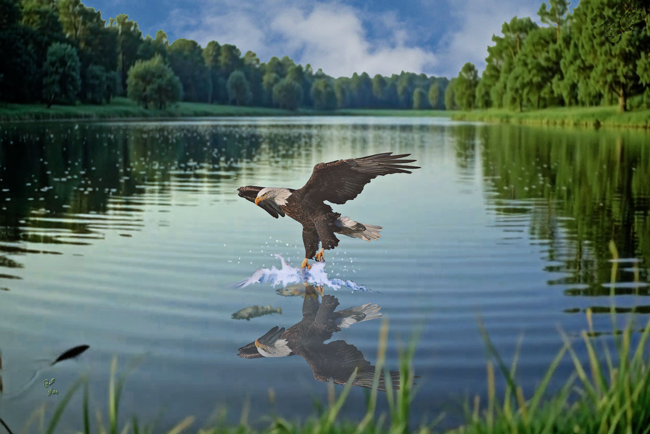 We Are Free